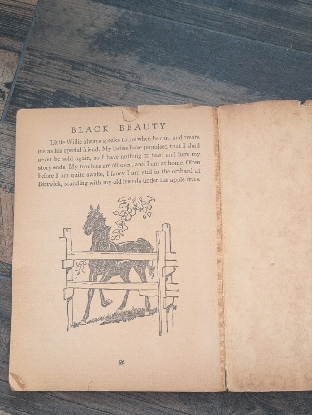 Black Beauty 1920's Vintage Antique Children Book Retro Cover Illustration Rare - Picture 9 of 14